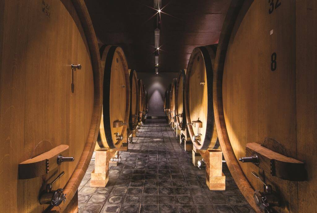 Wine Barrels in Cellar